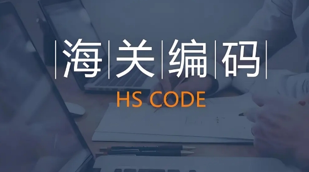 海关编码怎么查询？海关编码查询平台